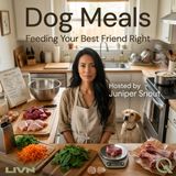 Dog Meals - Portions, Schedules, and the Math Behind the Bowl