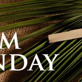 Palm Sunday Is Jesus Telling The World I Am The Messiah