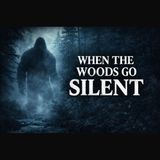 When the Woods Go Silent