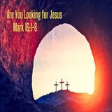 March 31, 2024 | Easter Sunday | “Are You Looking for Jesus?"