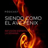 Siendo Como El Ave Fénix