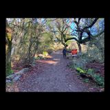 Hard Miles, Soft Air