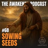 Sowing Seeds: Spiritual Ancestors, Spiritual Warfare, Jesus' Love, Toroidal Universe, Merkabah Orbs, & Awakening w/ Lindsey Scharmyn
