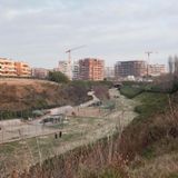 #471 Il verde pubblico tra progetti e abbandono, le molestie alla Sapienza e il concorso-farsa per entrare in polizia