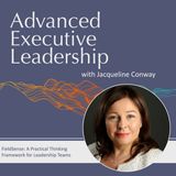 #70 FieldSense: A Practical Thinking Framework for Leadership Teams