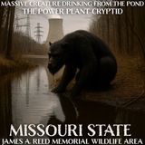 The Black Creature at the Power Plant Pond | Missouri Wildlife Area Cryptid Activity (James A Reed)