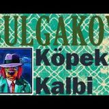 Köpek Kalbi  Mihail Bulgakov sesli kitap tek parça Akın ALTAN