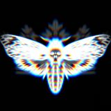 3.7 - Swyno'r Ddraig & Selenium Élysée