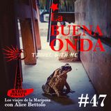 CAP 47 La BUENA ONDA
