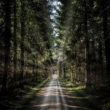 Transformational Leadership: Preparation - purposeful versus an accidental life