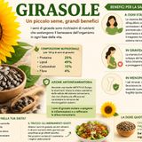 Semi di girasole: benefici per la salute femminile, proprietà nutrizionali e come assumerli