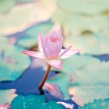 Libérer le stress avec la pleine conscience - Méditation et guidance