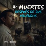 El gato negro maullaba… y alguien MORÍA | ¿Era un nahual? | 2990 08