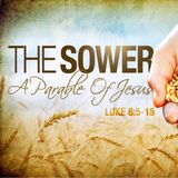 Sowing the seed, Gods word pt.1