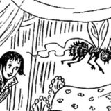 Die Bienenkönigin | Brüder Grimm Märchen