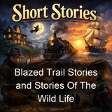 Blazed Trail Stories and Stories Of The Wild Life - Stewart Edward White