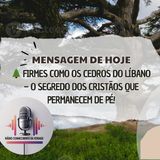 🌲 Firmes Como os Cedros do Líbano – O Segredo dos Cristãos que Permanecem de Pé!