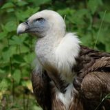 Travail syndical, éducation numérique et écho des régions : édition du jeudi 15 janvier 2026