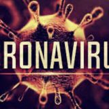What you should know EP. 1 corona virus overview