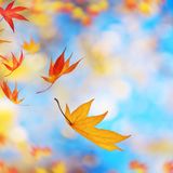 Seneca contro l’ansia: la frase che ti rimette in pace con ciò che non puoi controllare