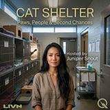 Cat Shelter - Cages, Compartments & Square Feet: Designing a Cat's Temporary Home
