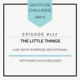 #117 GRATITUDE: The Little Things