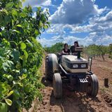 Noticias del sector: El programa de financiación del BBVA para agricultores y ganaderos de pequeños municipios