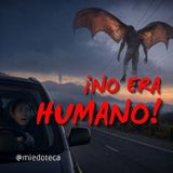 VIMOS ALGO VOLANDO EN LA CARRETERA: Tenía Cuerpo Humano, Alas y Garras | 1488 08