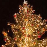 #Bologna SOS regali di natale