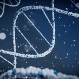 Fronte ("Focus"): «Lo studio del DNA offre una terapia personalizzata»