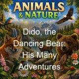 Dido the Dancing Bear His Many Adventures - Richard Barnum