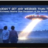 It Doesn't Get Any Weirder Than This! Ten Extremely Bizarre Close Encounters of the Second Kind
