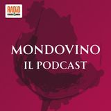 Mondovino | EP.1 - Cantina la Veneranda