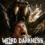 Why Would a Farmer Create a Spider Petting Zoo? What I Encountered Is Beyond Description! | HORROR