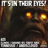 It's in Their Eyes!
