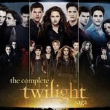 Long Road to Ruin: The Twilight Saga