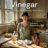 Vinegar - The Surfaces It Will Absolutely Destroy