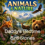 Daddy's Bedtime Bird Stories - Mary Graham Bonner