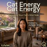 Cat Energy - When Your Cat Runs Out of Battery