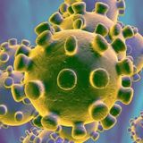 Confirman primer caso de coronavirus en Estados Unidos