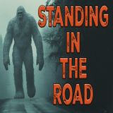Bigfoot Stood in the Road