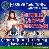 CORONILLA A LA DIVINA MISERICORDIA DE HOY. SABADO 14 DE JUNIO 2025. 🙏 REZAR EN TODO TIEMPO.         