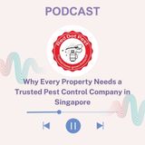 Why Every Property Needs a Trusted Pest Control Company in Singapore