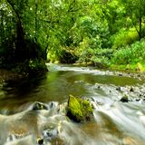 The Healing Waters