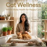 Cat Wellness - Feeding the Whole Cat: Species-Appropriate Nutrition as Medicine