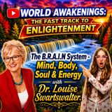 The B.R.A.I.N. System®: Healing the Mind, Body, Soul & Energy Field with Dr. Louise Swartswalter