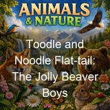 Toodle and Noodle Flat-tail The Jolly Beaver Boys - Howard R Garis