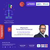 655 - Migración: Fenómeno Comercial