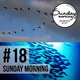 #18 - Von Fischen und Vögeln - Oder wie Friendship dein Leben durchdringt