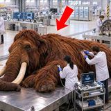 8 Extinct Animals Scientists Are Bringing Back by 2030